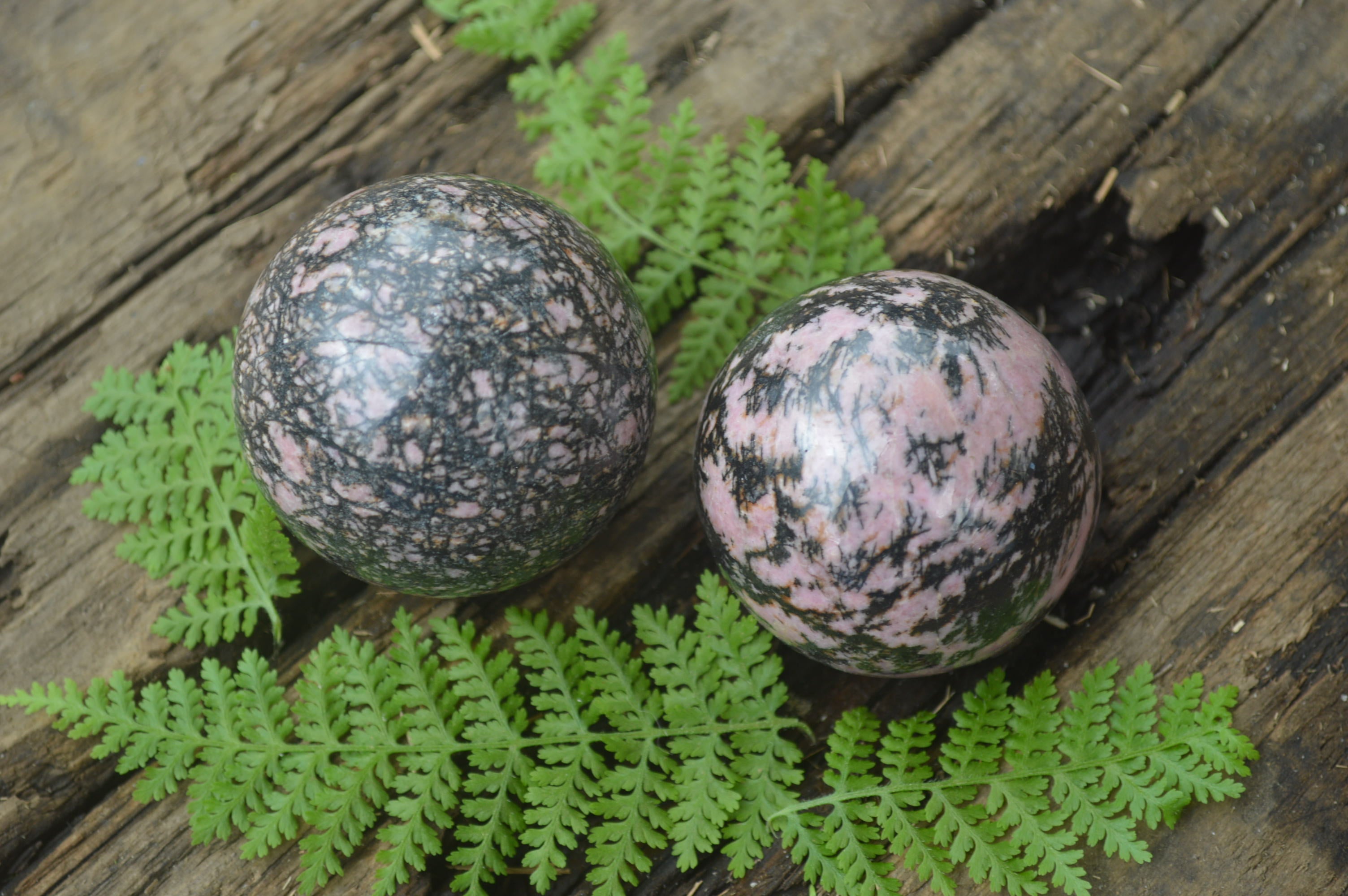 Polished Medium Rhodonite Sphere-Balls - Sold Per Item - From Madagascar - Toprock Gemstones and Minerals 