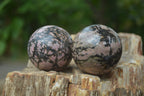 Polished Medium Rhodonite Sphere-Balls - Sold Per Item - From Madagascar - Toprock Gemstones and Minerals 