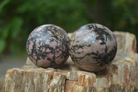 Polished Medium Rhodonite Sphere-Balls - Sold Per Item - From Madagascar - Toprock Gemstones and Minerals 