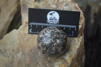 Polished Medium Rhodonite Sphere-Balls - Sold Per Item - From Madagascar - Toprock Gemstones and Minerals 