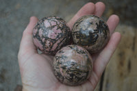 Polished Medium Rhodonite Sphere-Balls - Sold Per Item - From Madagascar - Toprock Gemstones and Minerals 