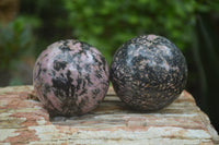 Polished Medium Rhodonite Sphere-Balls - Sold Per Item - From Madagascar - Toprock Gemstones and Minerals 
