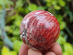 Polished Red Jasper Sphere-Balls - Sold Per Item - From Northern Cape, South Africa - Toprock Gemstones and Minerals 