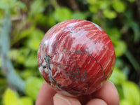 Polished Red Jasper Sphere-Balls - Sold Per Item - From Northern Cape, South Africa - Toprock Gemstones and Minerals 