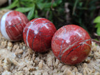 Polished Red Jasper Sphere-Balls - Sold Per Item - From Northern Cape, South Africa - Toprock Gemstones and Minerals 