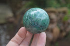 Polished Medium Buddstone Sphere-Balls - Sold Per Item - From Swaziland - Toprock Gemstones and Minerals 