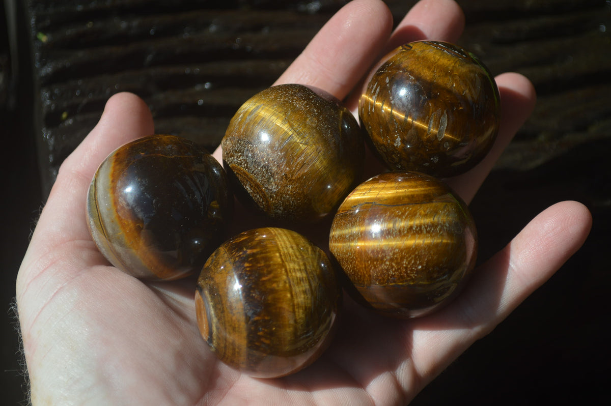 Polished Golden Tigers Eye Sphere-Ball - Sold Per Item - From South Africa - Toprock Gemstones and Minerals 