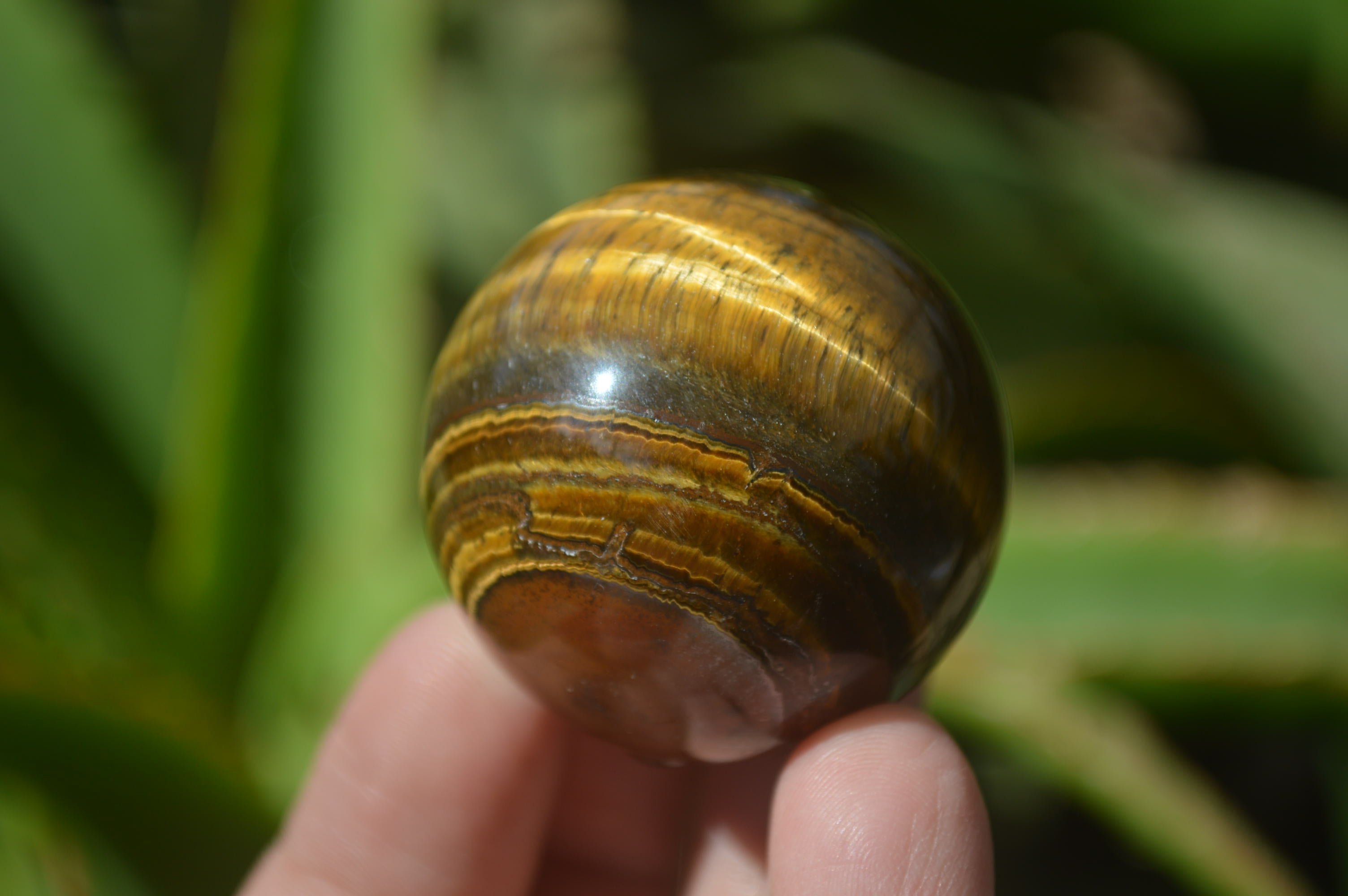 Polished Golden Tigers Eye Sphere-Ball - Sold Per Item - From South Africa - Toprock Gemstones and Minerals 