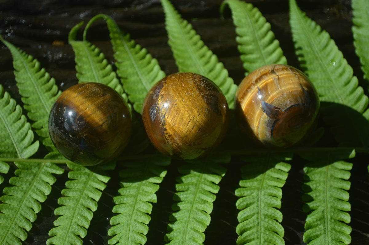 Polished Golden Tigers Eye Sphere-Ball - Sold Per Item - From South Africa - Toprock Gemstones and Minerals 