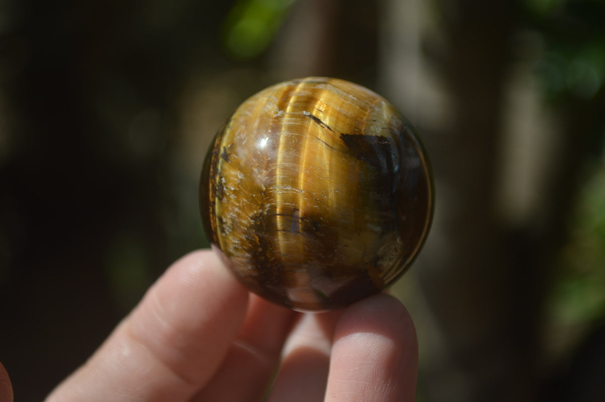 Polished Golden Tigers Eye Sphere-Ball - Sold Per Item - From South Africa - Toprock Gemstones and Minerals 