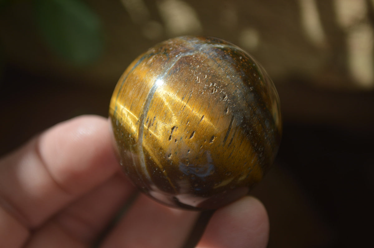 Polished Golden Tigers Eye Sphere-Ball - Sold Per Item - From South Africa - Toprock Gemstones and Minerals 