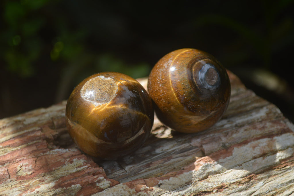 Polished Golden Tigers Eye Sphere-Ball - Sold Per Item - From South Africa - Toprock Gemstones and Minerals 