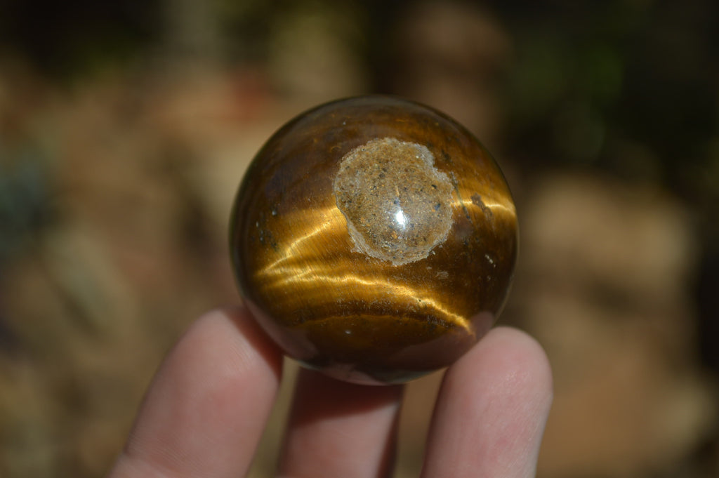 Polished Golden Tigers Eye Sphere-Ball - Sold Per Item - From South Africa - Toprock Gemstones and Minerals 