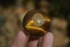 Polished Golden Tigers Eye Sphere-Ball - Sold Per Item - From South Africa - Toprock Gemstones and Minerals 