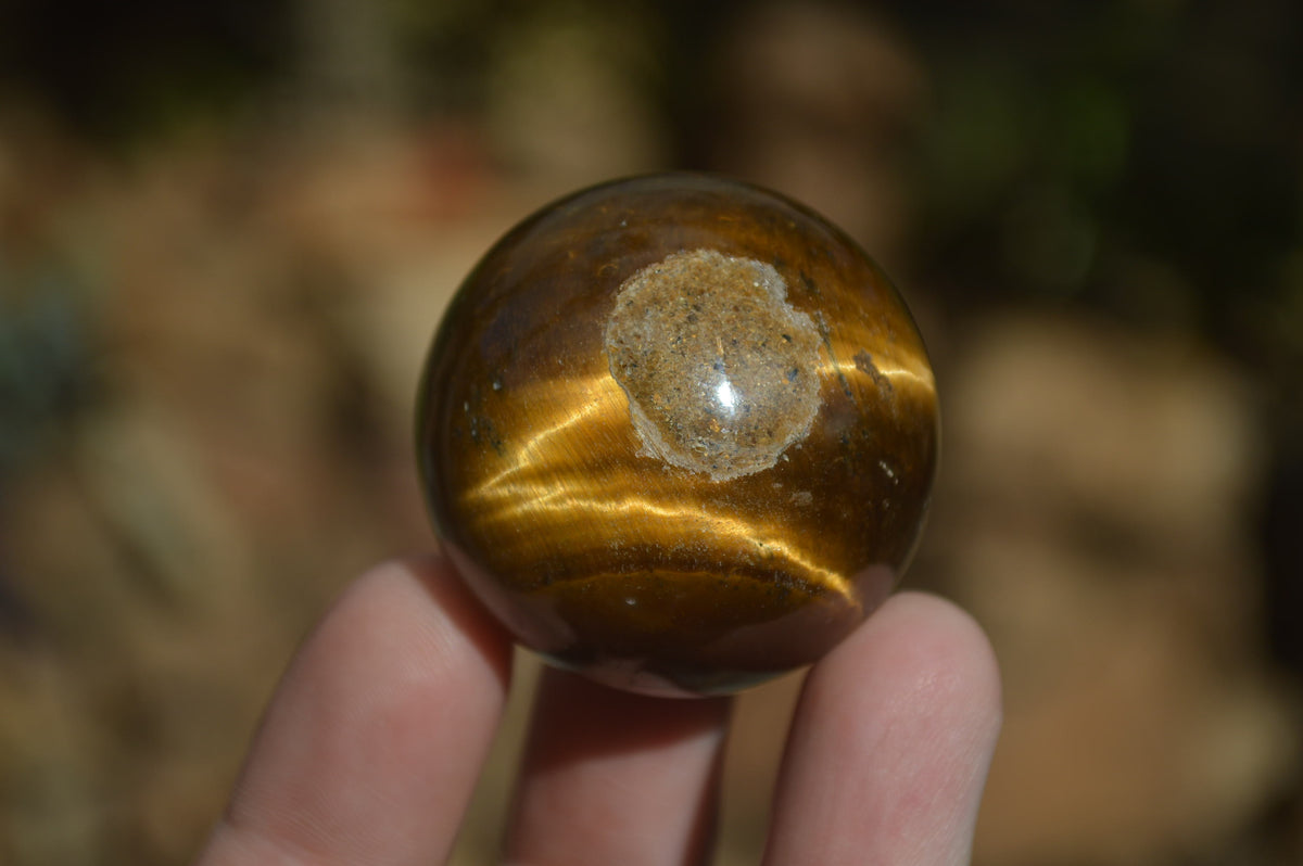Polished Golden Tigers Eye Sphere-Ball - Sold Per Item - From South Africa - Toprock Gemstones and Minerals 
