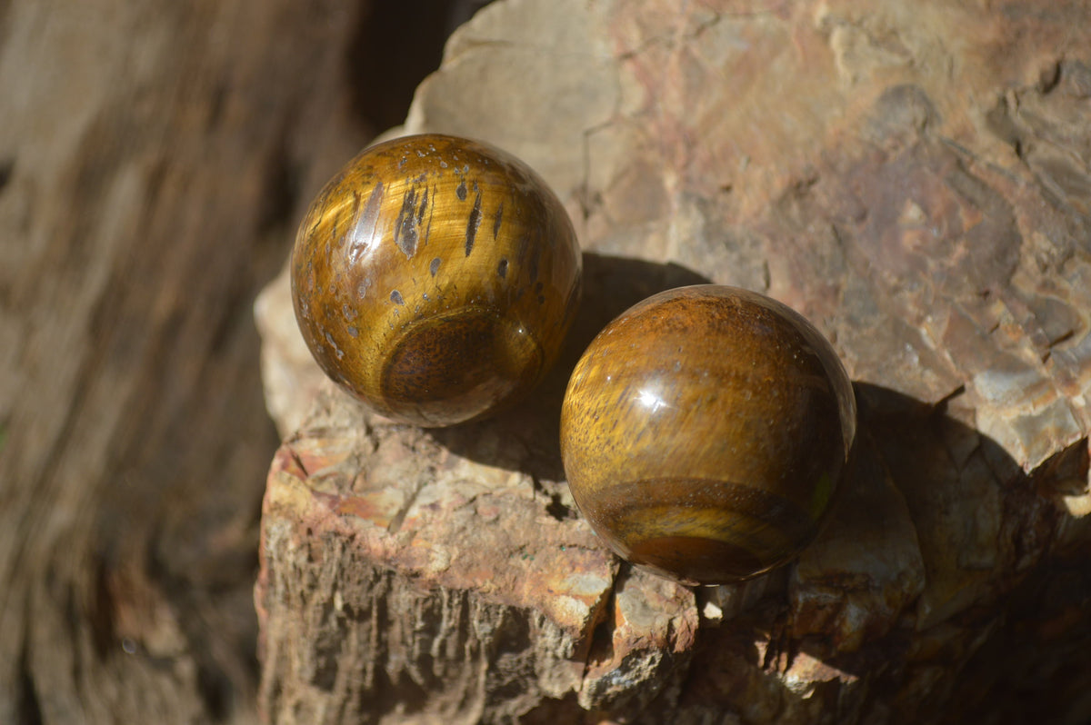 Polished Golden Tigers Eye Sphere-Ball - Sold Per Item - From South Africa - Toprock Gemstones and Minerals 