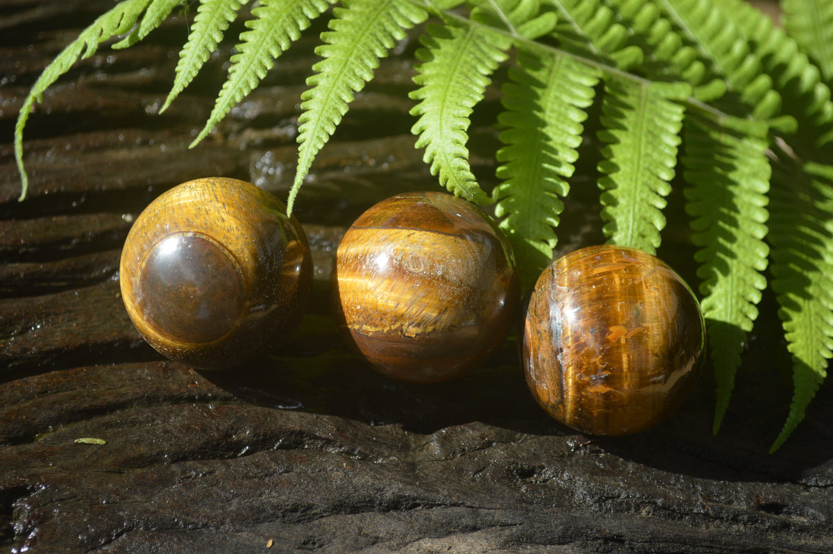 Polished Golden Tigers Eye Sphere-Ball - Sold Per Item - From South Africa - Toprock Gemstones and Minerals 