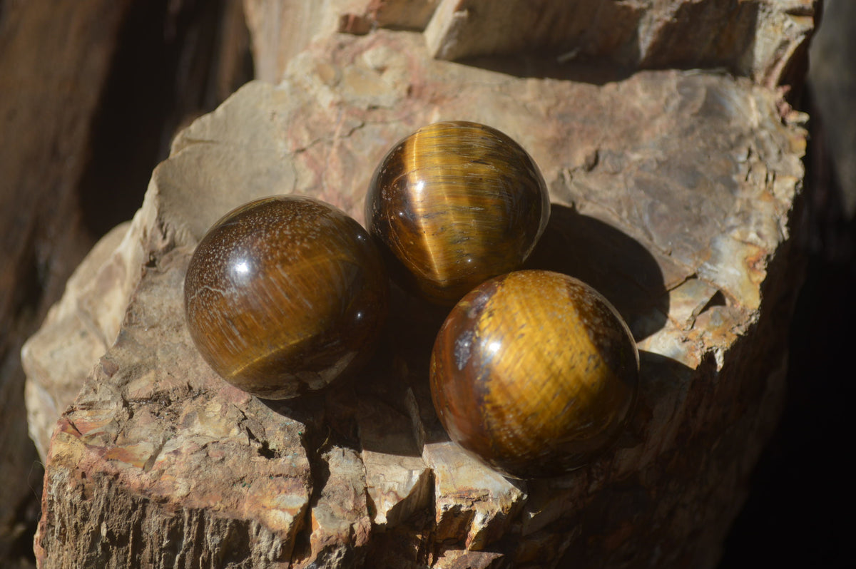 Polished Golden Tigers Eye Sphere-Ball - Sold Per Item - From South Africa - Toprock Gemstones and Minerals 