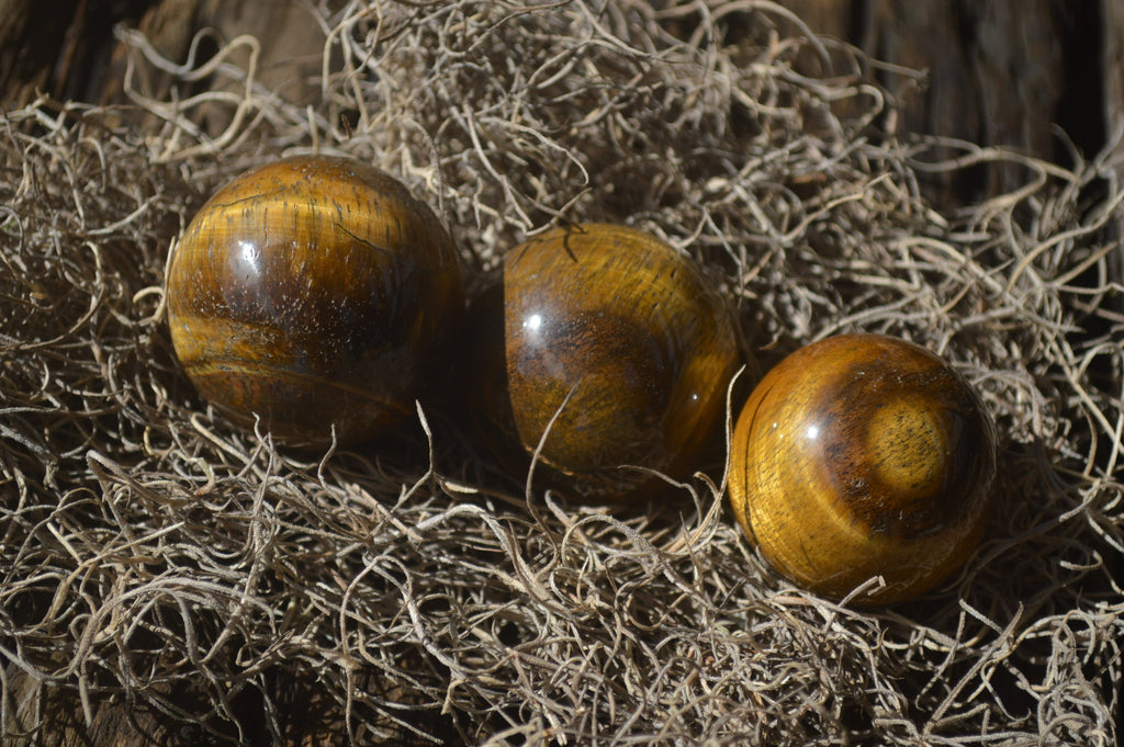 Polished Golden Tigers Eye Sphere-Ball - Sold Per Item - From South Africa - Toprock Gemstones and Minerals 