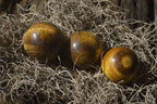 Polished Golden Tigers Eye Sphere-Ball - Sold Per Item - From South Africa - Toprock Gemstones and Minerals 