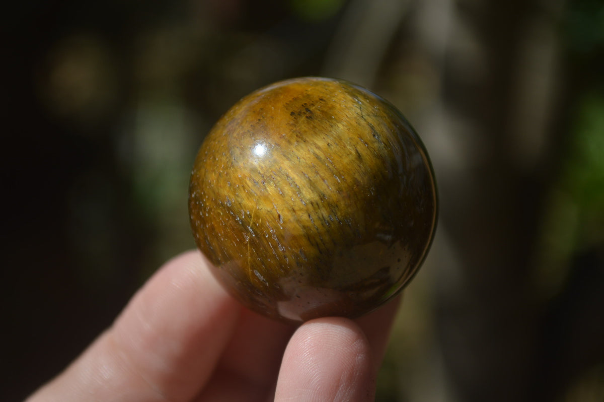 Polished Golden Tigers Eye Sphere-Ball - Sold Per Item - From South Africa - Toprock Gemstones and Minerals 