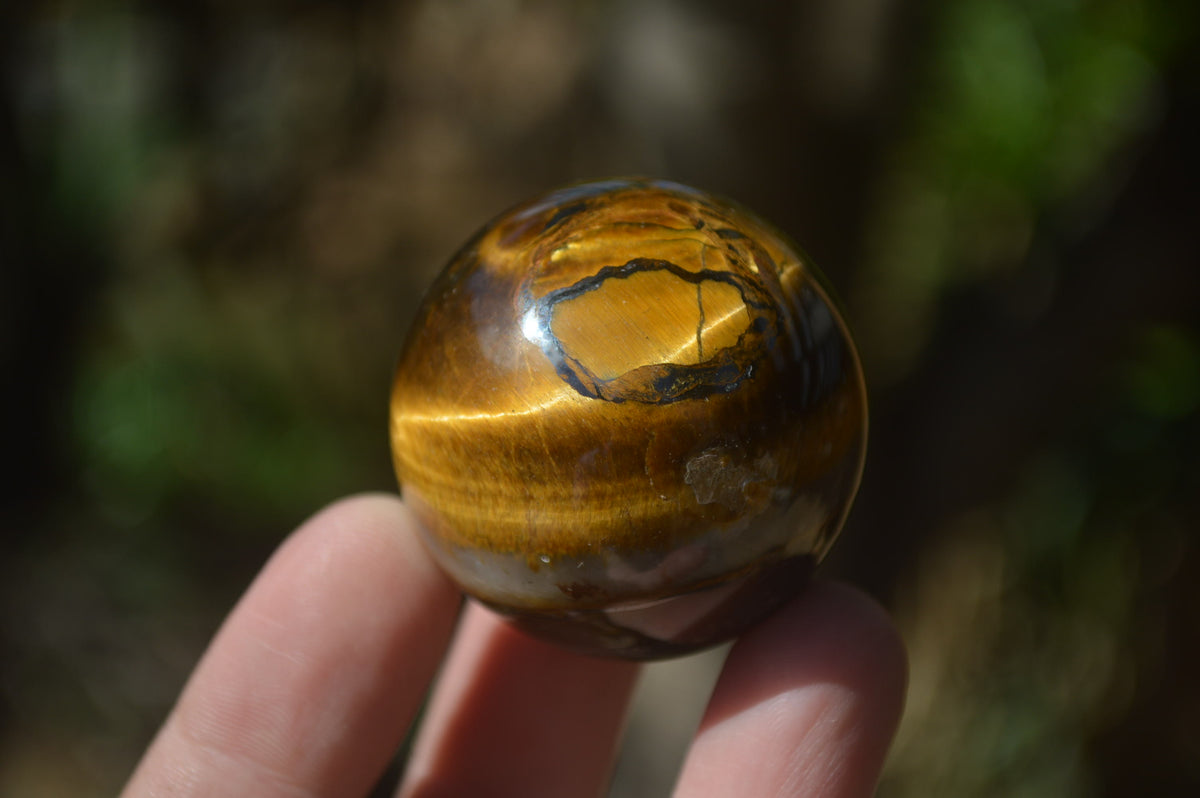 Polished Golden Tigers Eye Sphere-Ball - Sold Per Item - From South Africa - Toprock Gemstones and Minerals 