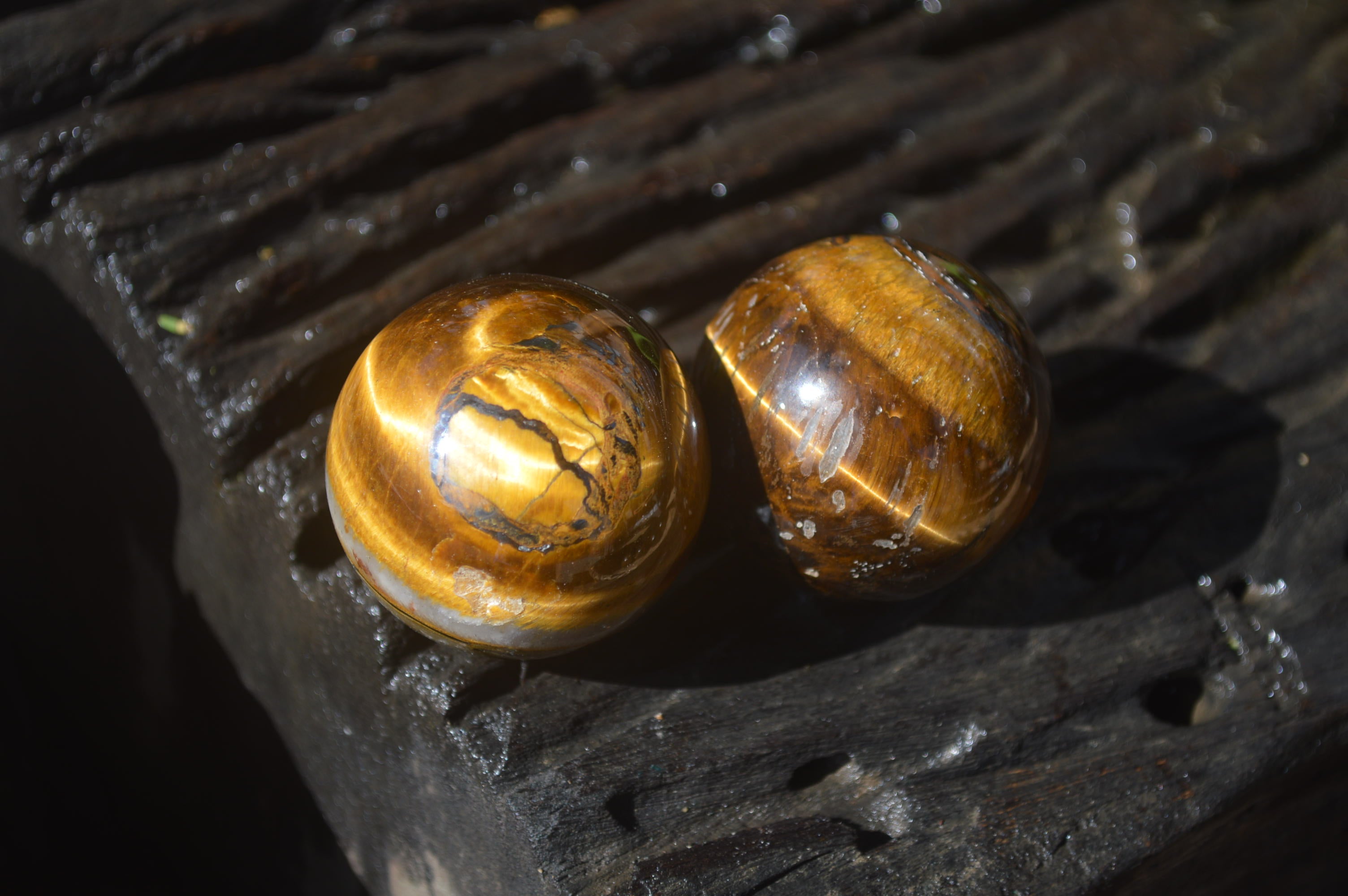 Polished Golden Tigers Eye Sphere-Ball - Sold Per Item - From South Africa - Toprock Gemstones and Minerals 