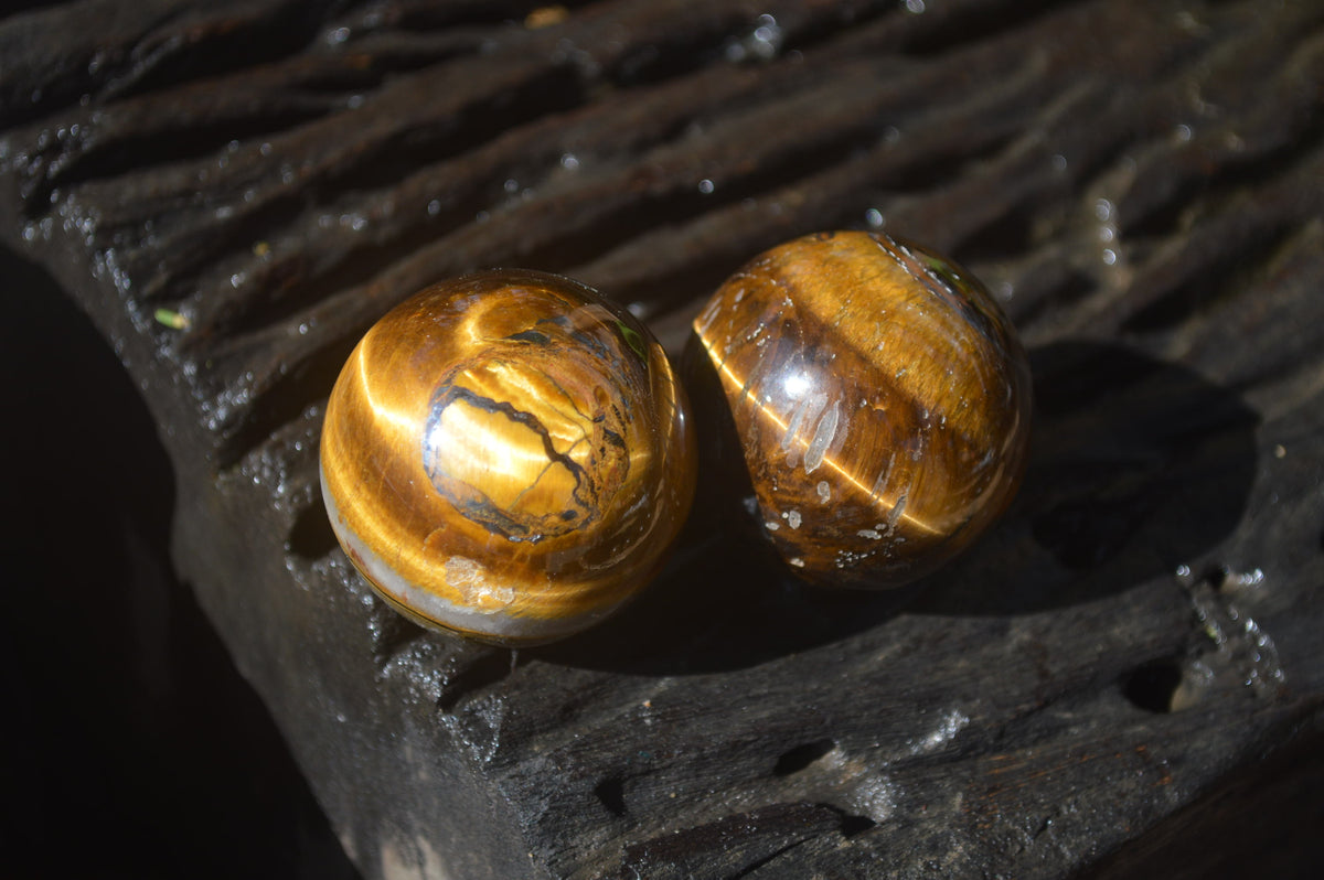 Polished Golden Tigers Eye Sphere-Ball - Sold Per Item - From South Africa - Toprock Gemstones and Minerals 