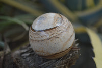 Polished Medium Namibian Desert Picture Stone Jasper Sphere-Balls - Sold Per Item - From Namibia - Toprock Gemstones and Minerals 