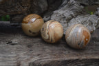 Polished Medium Namibian Desert Picture Stone Jasper Sphere-Balls - Sold Per Item - From Namibia - Toprock Gemstones and Minerals 