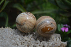 Polished Medium Namibian Desert Picture Stone Jasper Sphere-Balls - Sold Per Item - From Namibia - Toprock Gemstones and Minerals 