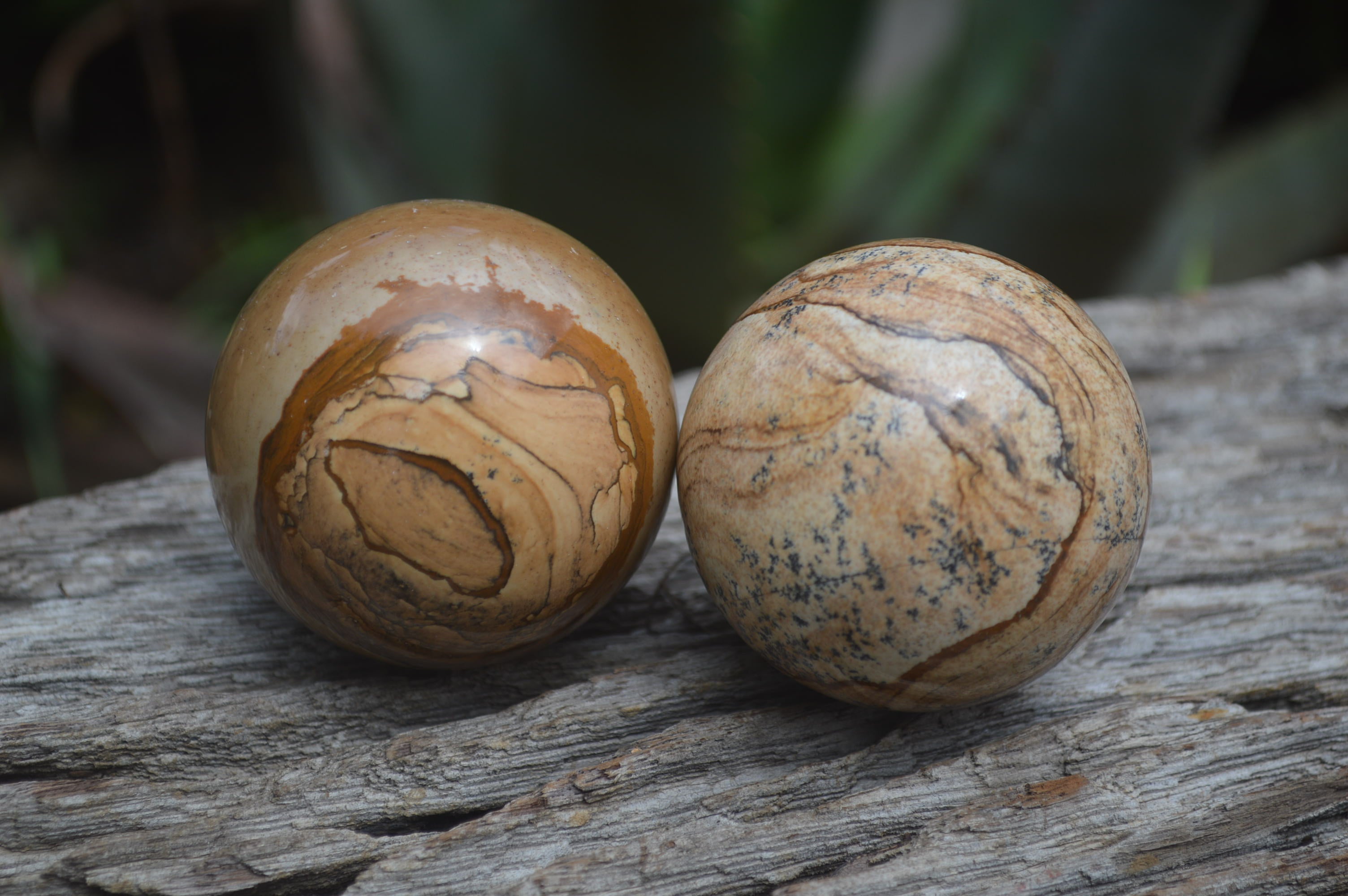 Polished Medium Namibian Desert Picture Stone Jasper Sphere-Balls - Sold Per Item - From Namibia - Toprock Gemstones and Minerals 