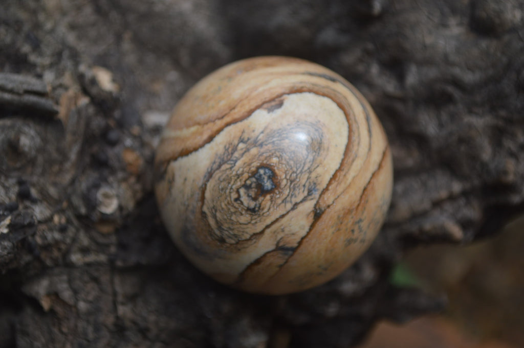Polished Medium Namibian Desert Picture Stone Jasper Sphere-Balls - Sold Per Item - From Namibia - Toprock Gemstones and Minerals 