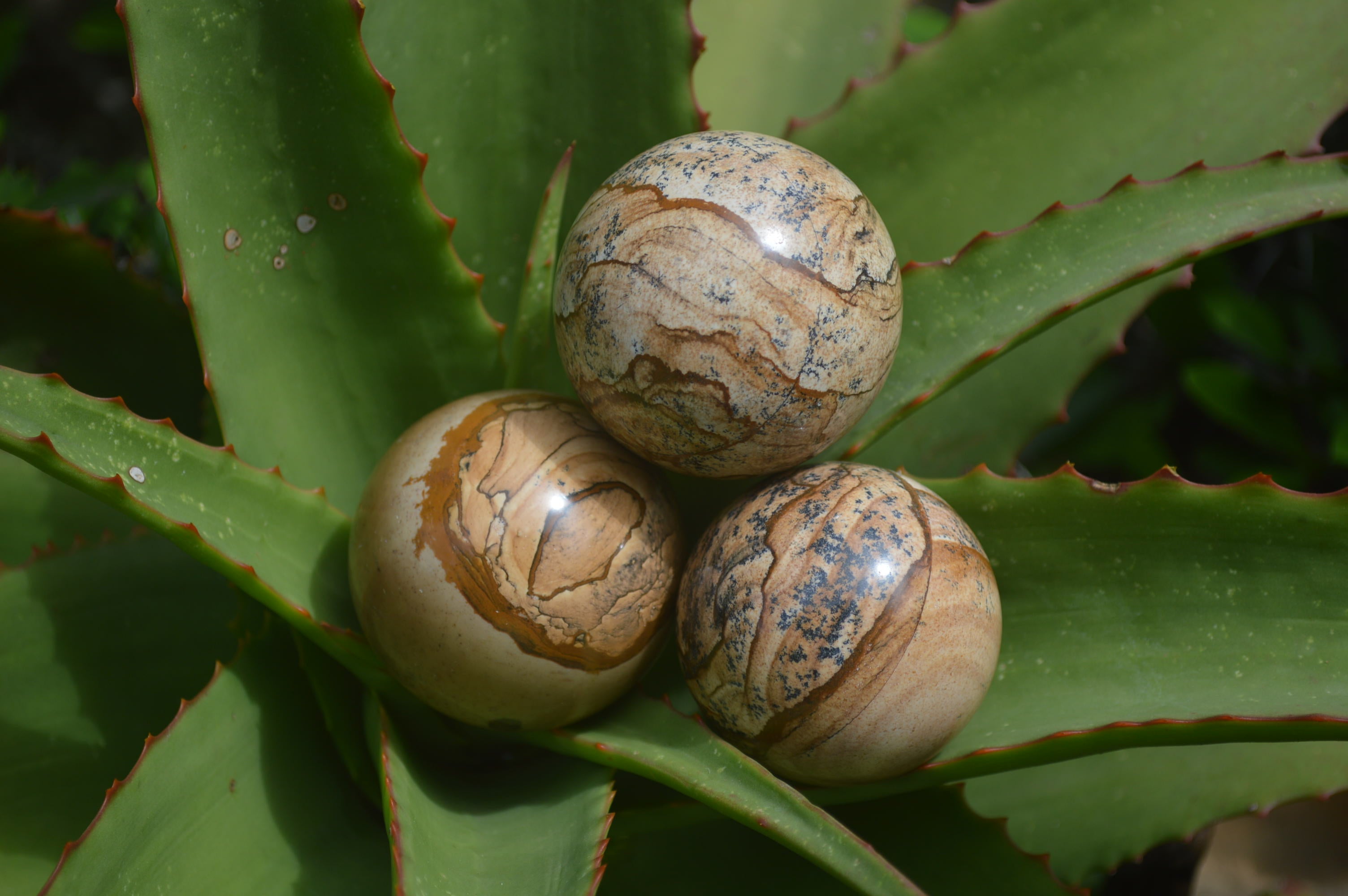 Polished Medium Namibian Desert Picture Stone Jasper Sphere-Balls - Sold Per Item - From Namibia - Toprock Gemstones and Minerals 