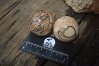 Polished Medium Namibian Desert Picture Stone Jasper Sphere-Balls - Sold Per Item - From Namibia - Toprock Gemstones and Minerals 