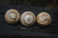 Polished Medium Namibian Desert Picture Stone Jasper Sphere-Balls - Sold Per Item - From Namibia - Toprock Gemstones and Minerals 