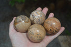 Polished Medium Namibian Desert Picture Stone Jasper Sphere-Balls - Sold Per Item - From Namibia - Toprock Gemstones and Minerals 