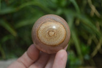 Polished Medium Namibian Desert Picture Stone Jasper Sphere-Balls - Sold Per Item - From Namibia - Toprock Gemstones and Minerals 