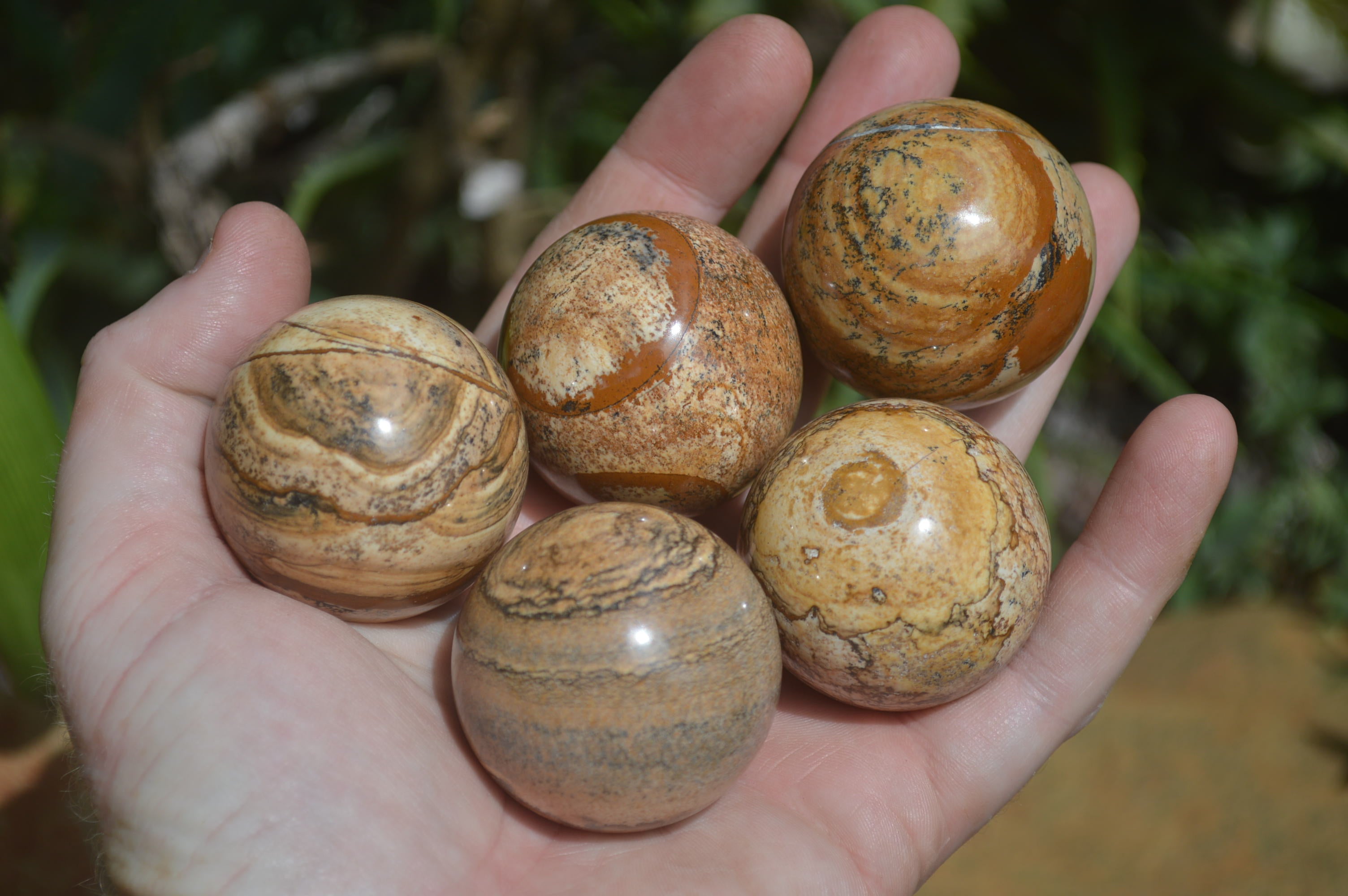 Polished Small Namibian Desert Picture Stone Jasper Sphere-Balls - Sold Per Item - From Namibia - Toprock Gemstones and Minerals 