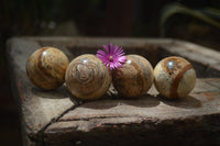 Polished Small Namibian Desert Picture Stone Jasper Sphere-Balls - Sold Per Item - From Namibia - Toprock Gemstones and Minerals 