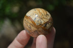 Polished Small Namibian Desert Picture Stone Jasper Sphere-Balls - Sold Per Item - From Namibia - Toprock Gemstones and Minerals 