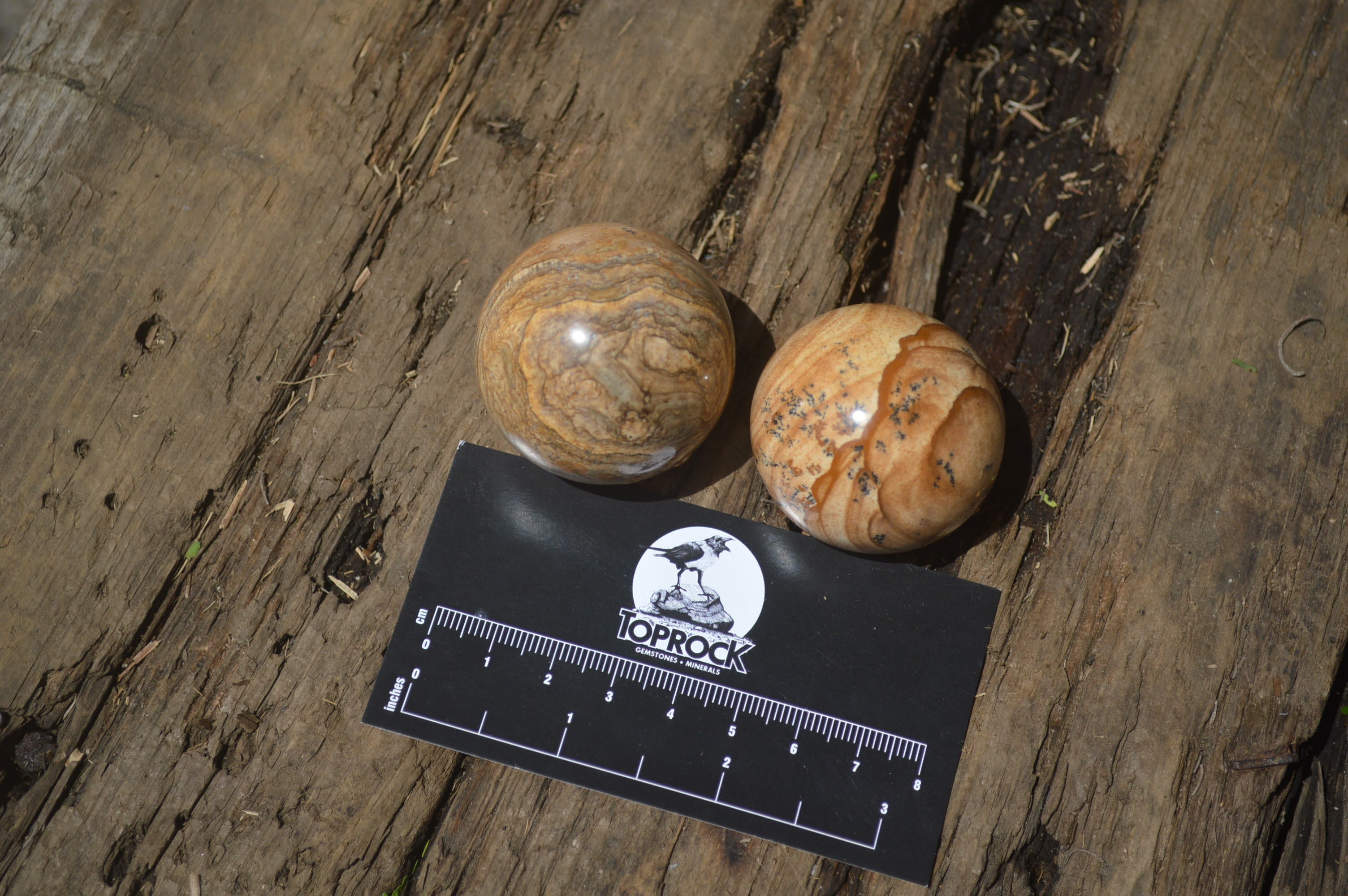 Polished Small Namibian Desert Picture Stone Jasper Sphere-Balls - Sold Per Item - From Namibia - Toprock Gemstones and Minerals 