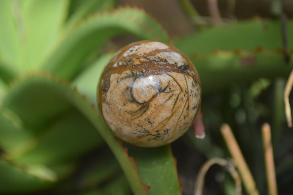 Polished Small Namibian Desert Picture Stone Jasper Sphere-Balls - Sold Per Item - From Namibia - Toprock Gemstones and Minerals 