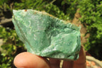 Natural Jade Cobbed Specimens x 12 From Swaziland - Toprock Gemstones and Minerals 