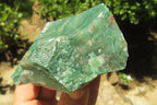 Natural Jade Cobbed Specimens x 12 From Swaziland - Toprock Gemstones and Minerals 