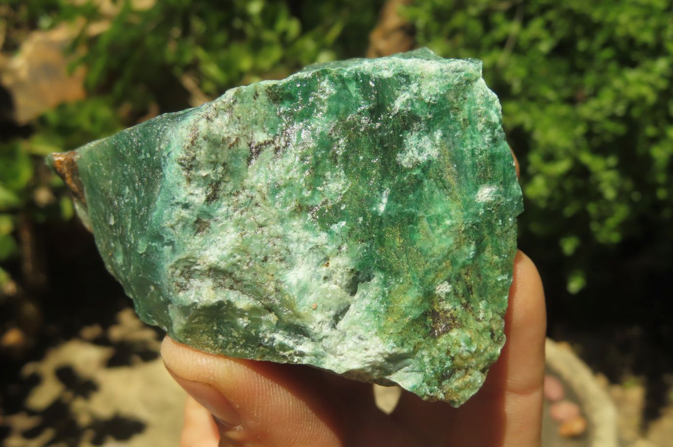 Natural Jade Cobbed Specimens x 12 From Swaziland - Toprock Gemstones and Minerals 