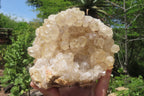 Natural Limonite Quartz Clusters x 3 From Zambia - Toprock Gemstones and Minerals 