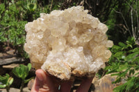Natural Limonite Quartz Clusters x 3 From Zambia