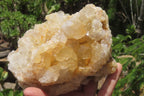 Natural Limonite Quartz Clusters x 3 From Zambia - Toprock Gemstones and Minerals 
