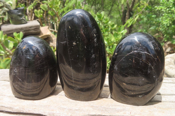 Polished Black Tourmaline Standing Free Forms x 3 From Madagascar - Toprock Gemstones and Minerals 